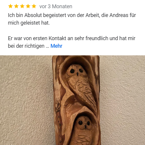 Zei Eulen im Stamm