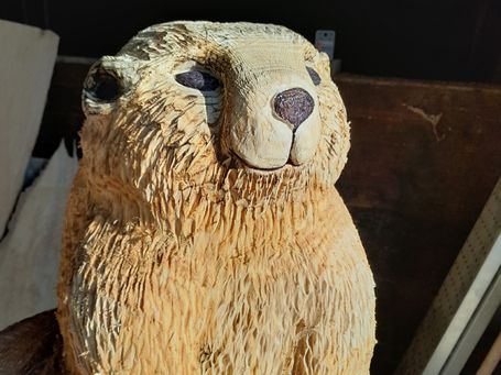 Detailaufnahme eines sitzenden Holzmurmeltiers mit handgeschnitztem Fell und glasierten Augen – frisch aus der Werkstatt von Andreas Patzak,