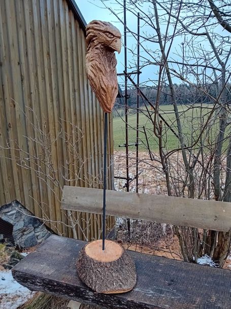 Büste Adler 