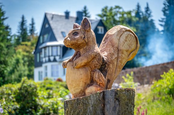 70 cm große Eichhörnchen-Skulptur aus Eschenholz, mit der Kettensäge geschnitzt, Kettensägenkunst