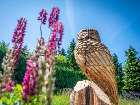 Holzeule auf Baumstumpf im Garten, handgefertigt mit der Kettensäge – Kettensägenkünstler Andreas Patzak aus dem Erzgebirge