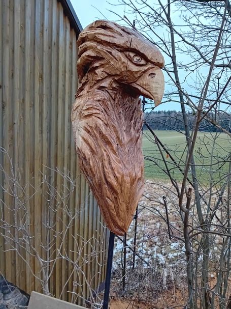Büste Adler 